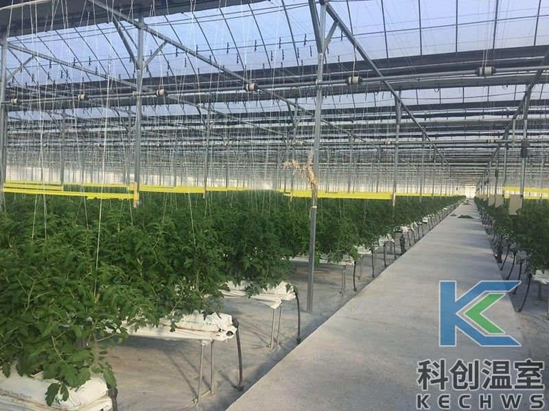 適合植物工廠的溫室大棚造價分析